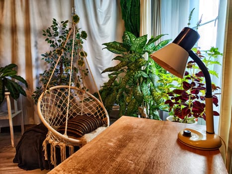 The interior of the room has a wicker swing chair, a desk, a desk lamp and green flowers, trees and window with curtains. A study with greenery. Winter Garden