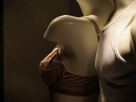 bra mannequin in shop window detail