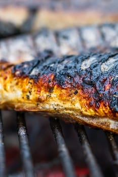 Grilled fish on charcoal grill. Fresh fish barbecue