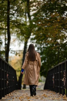 A girl in a long brown cloak walks across the bridge, back view, burnt leaves on the bridge.