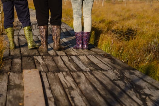 People in boots walk along a wooden path in a swamp in Yelnya, Belarus.