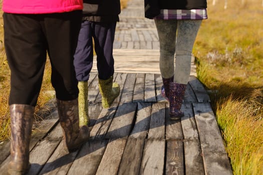 People in boots walk along a wooden path in a swamp in Yelnya, Belarus.