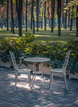 Cafe tables and benches without visitors concept photo. Quiet autumn atmosphere. Autumnal park, fall season, natural background. Idyllic scene. High quality picture for wallpaper, travel blog, magazine, article