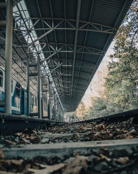 Autumnal railway platform concept photo. Passenger train in parkland. Railroad in Europe. Commercial transportation. High quality picture for wallpaper, travel blog.