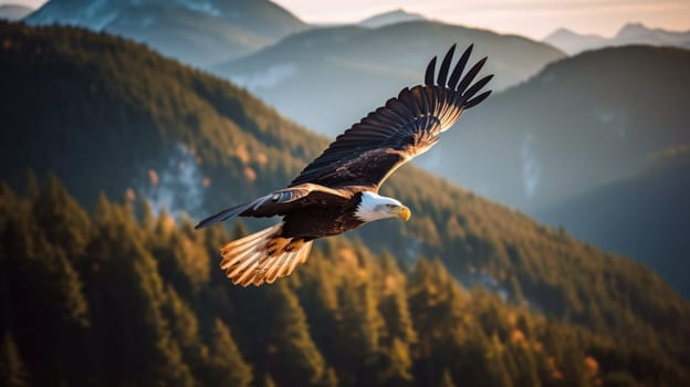 American Bald Eagle in natural habitat among cliffs, forests and rivers. Bald eagle is the national symbol of the United States.