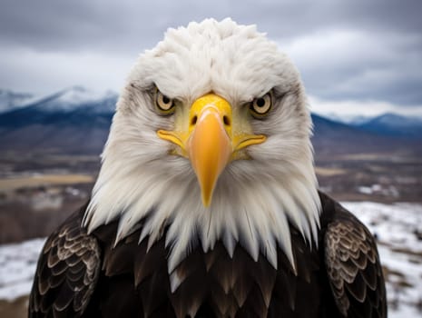 American bald eagle in flight illustrated over snow-covered mountains. Bald eagle is the national symbol of the United States.