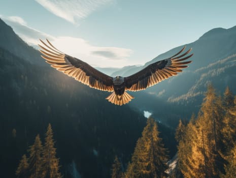 American Bald Eagle in natural habitat among cliffs, forests and rivers. Bald eagle is the national symbol of the United States.