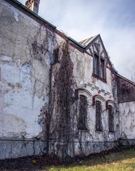 Facade of the old building with ivy plant concept photo. Architectural detail of damage house. Old doors, windows, balconies. Ukrainian moldings