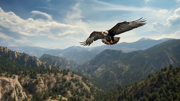 American Bald Eagle in natural habitat among cliffs, forests and rivers. Bald eagle is the national symbol of the United States.