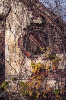 Ruined greenhouse with ivy plant concept photo. Castle tower. Architectural detail of damage building. Old door, window. Ukrainian moldings