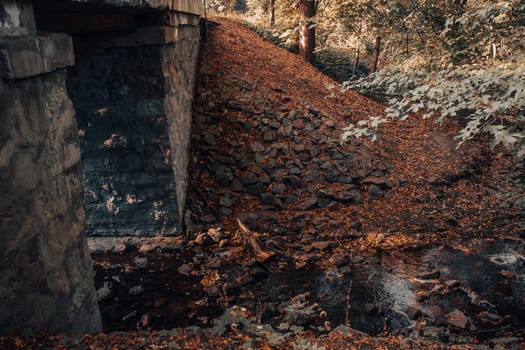 The old bridge over the river of the autumn forest. Forest river stream landscape. Bridge over forest river stream. Beautiful nature scenery photography. High quality picture for wallpaper, travel blog.