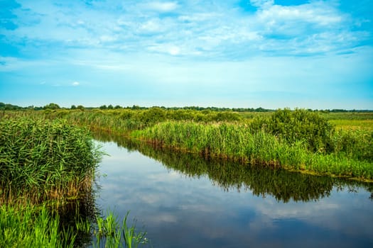 Water channel for irrigation, with thickets of reeds along the banks