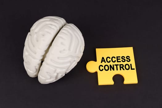 On a black surface lies a brain and a yellow puzzle with the inscription - ACCESS CONTROL. Business and technology concept.