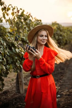 portrait of a happy woman in the summer vineyards at sunset. woman in a hat and smiling