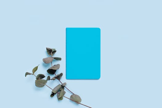 Sprigs of eucalyptus on blue background with notepad.