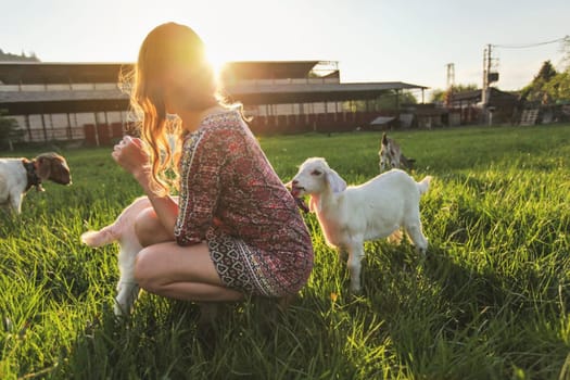 Young woman playing with goat kids on green spring meadow, animal chews her dress behind her. Wide angle photo in strong sun backlight