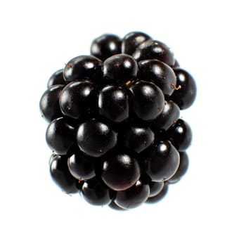 Blackberry fruit isolated on white background