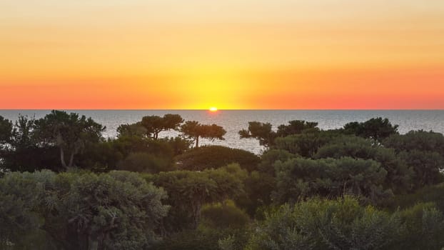 Sunset with sky coloured orange and pink on tropical island, calm sea at distance, jungle forest in foreground. Anakao, Madagascar