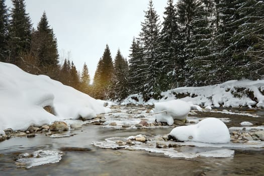 Low angle view - morning on river in winter, stones snow covered, coniferous trees and rising sun in distance