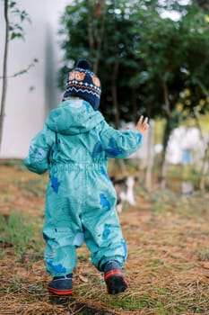 Small child in overalls walks through the dry grass in the garden. Back view. High quality photo