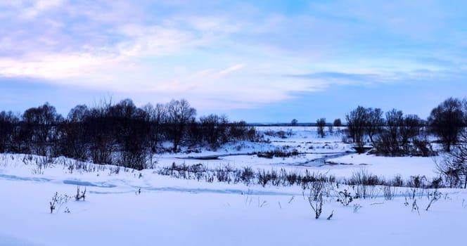 Panorama of winter landscape with snow and trees in the evening