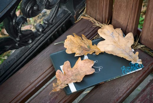 On a wooden bench in the Park book and yellow fallen autumn oak leaves.