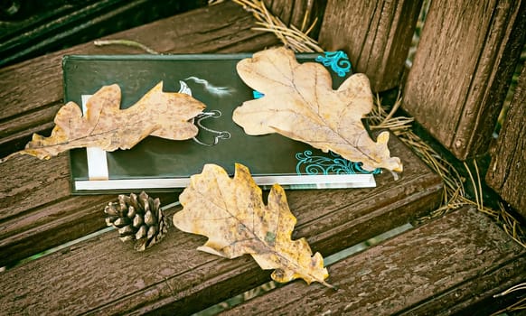 On a wooden bench in the Park book and yellow fallen autumn oak leaves.
