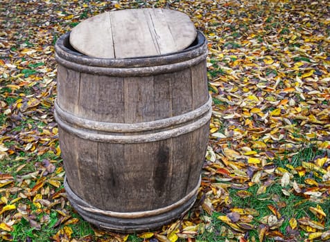 Vintage oak barrel with wooden hoops on the ground surrounded by yellow leaves.