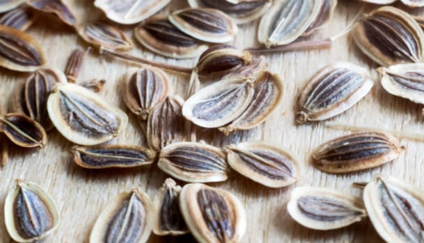 On the wooden table lie the seeds of dill. Presents closeup.