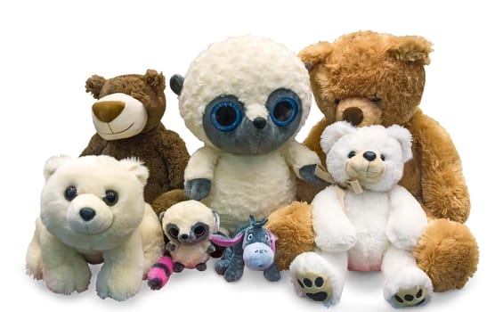 Various children's soft toys: bear , dog and other on a white background.