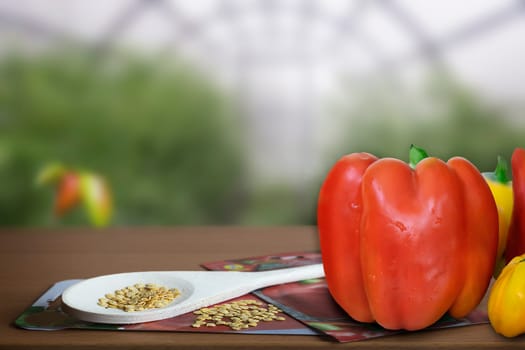 Tomatoes, green cucumbers in the basket and cucumber seeds on a wooden countertop. Presented at the blurred background of the greenhouse.