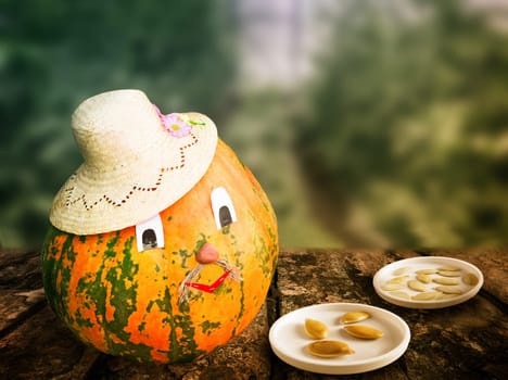 Big ripe pumpkins and pumpkin seeds on a wooden countertop. Presented at the blurred background of the greenhouse.