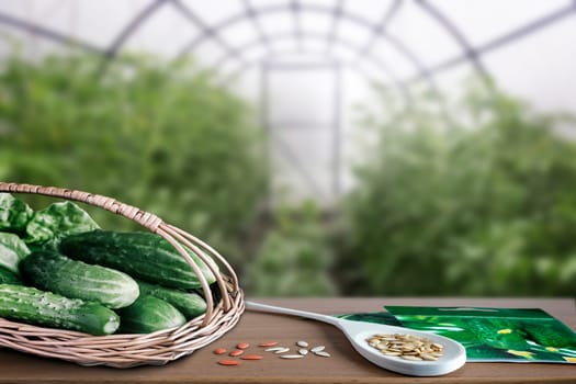 A small greenhouse with a metal frame covered with polycarbonate. Designed for growing vegetables. In a greenhouse growing tomatoes, peppers, eggplant.