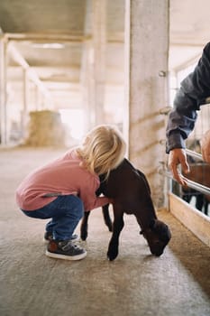 Little girl hugs a goat kid with her cheek against him at the farm. Back view. High quality photo