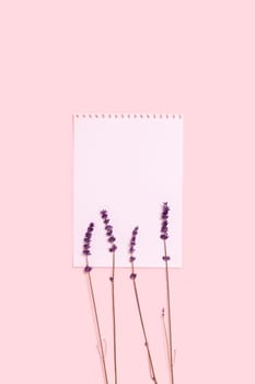 Greeting card with sprigs of lavender on pink background and a sheet of paper painted with watercolors. Vertical postcard.