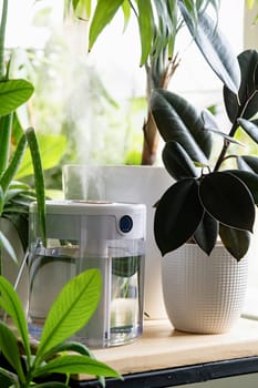 steam from the air humidifier during heating period, surrounded by houseplants. Plant care. Increasing moisture in the apartment.