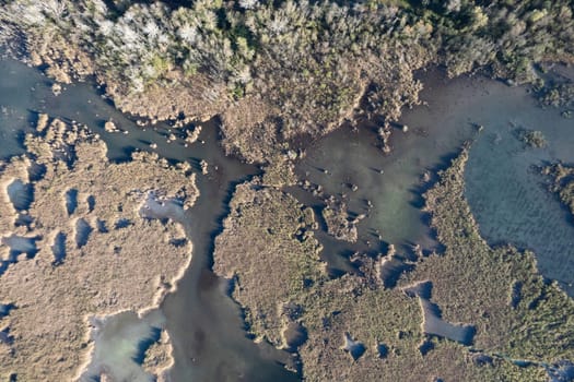 Aerial photographic documentation of the Lago di Porta park Pietrasanta Lucca 