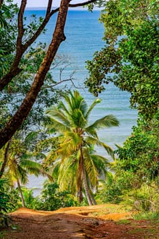 Dirt path towards the sea crossing the forest in Serra Grande in Bahia