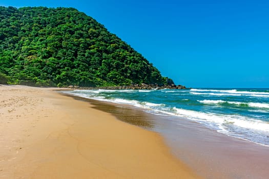 Deserted beach with preserved forests in Guaruja on the north coast of the state of Sao Paulo