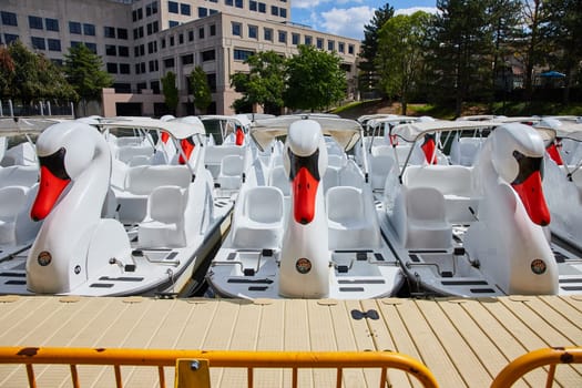 Sunny day at an Indianapolis city park featuring a fleet of elegant white swan pedal boats docked neatly on a light dock, 2023.