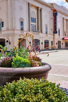 Colorful succulents in a planter set against the backdrop of the historic Lerner Theater in downtown Elkhart, Indiana, capturing the beauty of urban greenery.