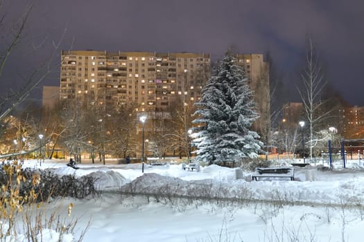 Winter cityscape with multi-storey residential buildings and snow covered fir trees in Moscow, Russia