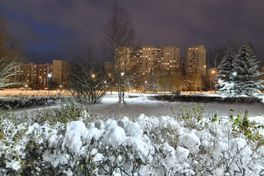 Winter cityscape with multi-storey residential buildings and snow covered fir trees in Moscow, Russia