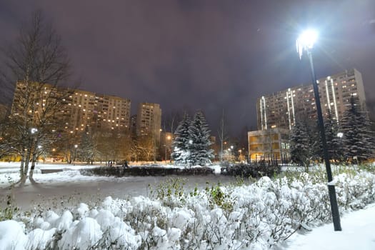 Winter cityscape with multi-storey residential buildings and snow covered fir trees in Moscow, Russia