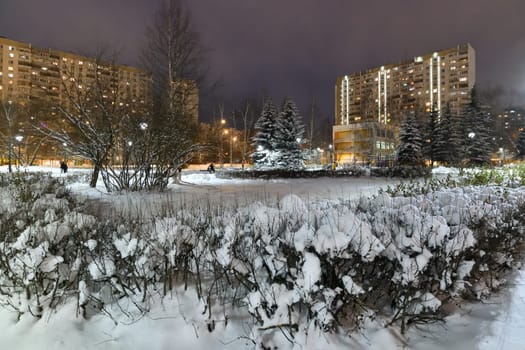 Winter cityscape with multi-storey residential buildings and snow covered fir trees in Moscow, Russia