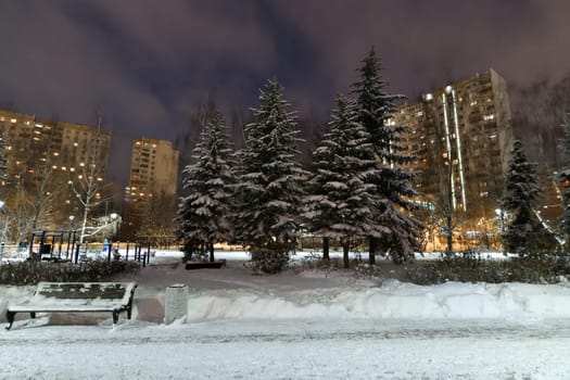 Winter cityscape with multi-storey residential buildings and snow covered fir trees in Moscow, Russia