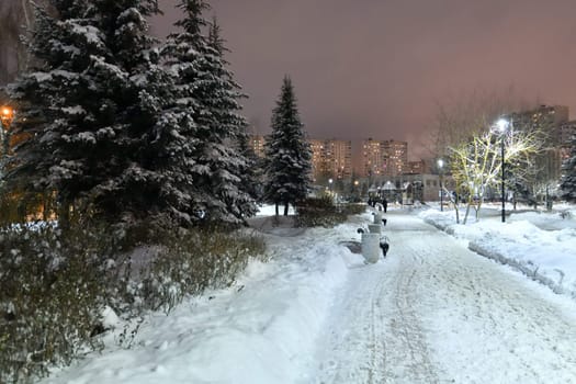 Winter cityscape with multi-storey residential buildings and snow covered fir trees in Moscow, Russia