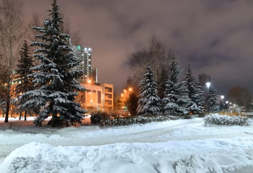 Winter cityscape with multi-storey residential buildings and snow covered fir trees in Moscow, Russia