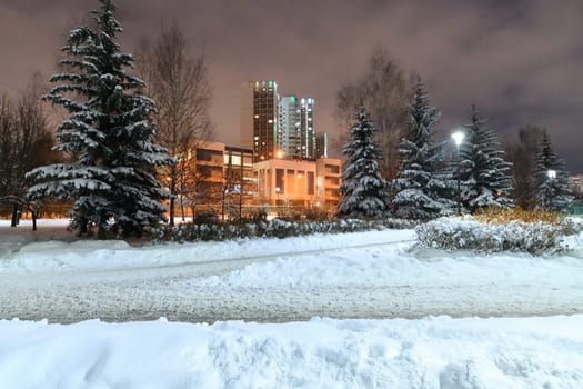 Winter cityscape with multi-storey residential buildings and snow covered fir trees in Moscow, Russia