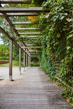 Tranquil Ivy-Canopied Walkway in Art Center, Indianapolis 2023 - A Rustic Garden Retreat